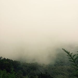 美女老师用丝袜踩我的🐔出精子的照片
