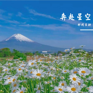 美女老师用丝袜踩我的🐔出精子的照片
